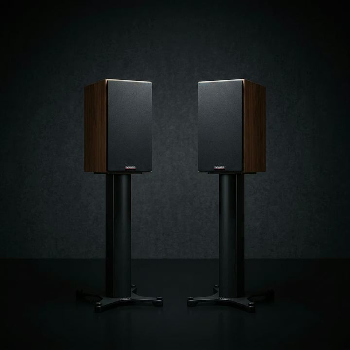 Dynaudio Heritage Special